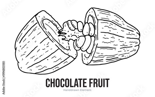 A detailed hand-drawn illustration of a cocoa pod, split open to reveal the beans inside, with the text "CHOCOLATE FRUIT" below.