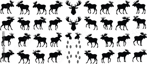 Black silhouettes of diverse animals standing in a row against a white background diverse species