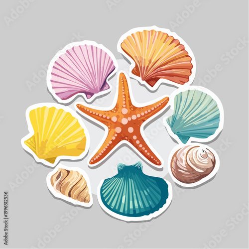 Collection of Colorful Seashells and Starfish