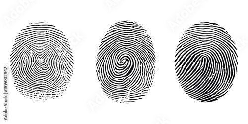 Three different black fingerprint patterns for security and identity verification