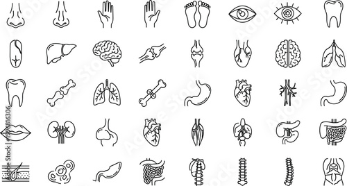 Human anatomy organs medical line icons vector set body parts healthcare biology outline symbols collection