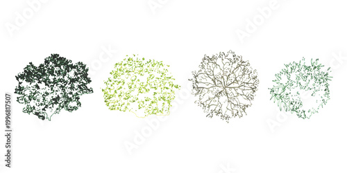 Set of four different tree top view illustrations for landscape design and architecture plans