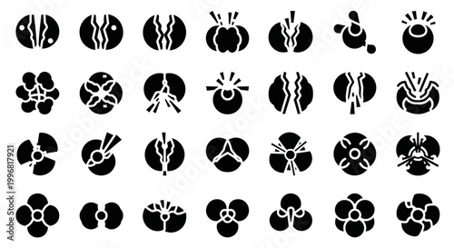 Black and white biology icons, cell biology symbols, microscopic vector graphics, scientific illustrations, 25 cell structure icons