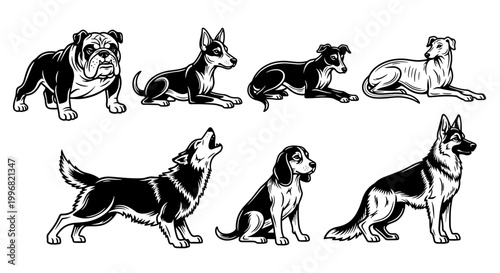 Collection of Diverse Dog Breeds in Artistic Illustration Style.