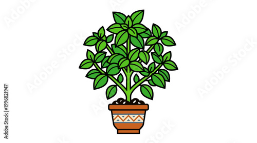 Potted plant with green leaves.