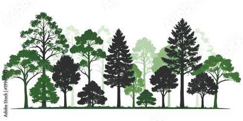 Set of various forest trees silhouettes with green leaves and dark trunks in a row