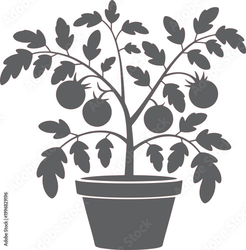 Tomato plant silhouette in a pot serves as a simple botanical graphic for gardening or food industry themes.