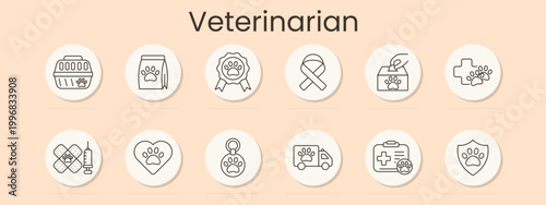 Veterinarian set icon. Pet carrier, food bag, award ribbon, awareness ribbon, donation box, medical cross, bandage, syringe, heart paw, tag, ambulance, first aid kit, shield, animal care