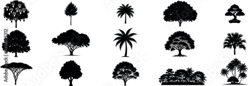 Variety of tree silhouettes.