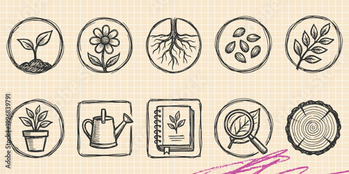 Black ink scribble doodle vector vintage hand drawn illustration of ecology botany plants and nature leaves