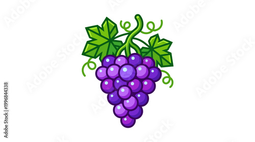 Purple grapes bunch with green leaves.