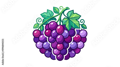 Purple Grapes Fruit Bunch Illustration.