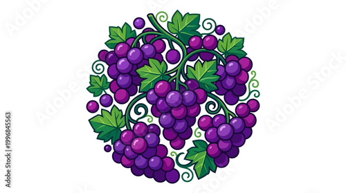 Purple Grapes Fruit Cluster Illustration.