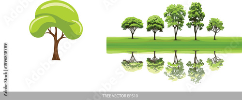 Green trees with reflection set illustrating growth stages, nature landscape, environmental concept, and stylized botanical vector illustration