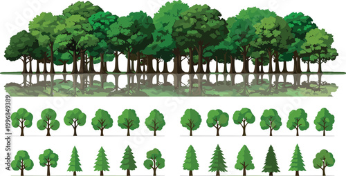 Forest trees collection with dense woodland, reflections, and various tree species illustrating nature diversity, landscape elements, and botanical vector illustration set