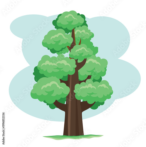 Cedar branch with green needles and cone, coniferous evergreen tree element, flat vector botanical illustration.