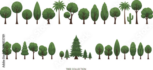 Tree collection set with various species including palm, pine, and deciduous trees illustrating forest diversity, landscaping elements, and nature vector illustration