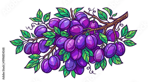Purple Plums on a Branch.