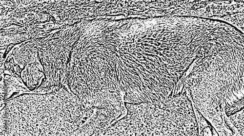 Dog sleeping vector illustration 