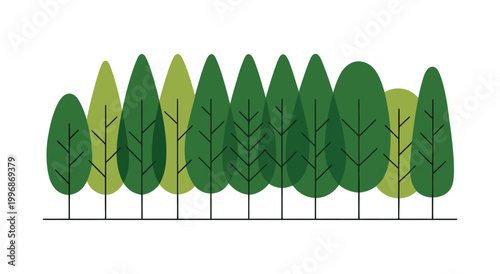Tree forest illustration with green trees on white background