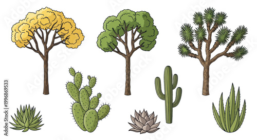 Collection of various desert plants and trees.