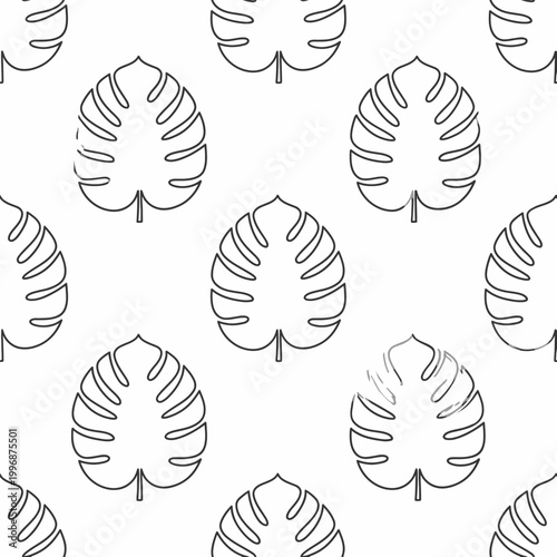 Monstera deliciosa leaf outline drawing.