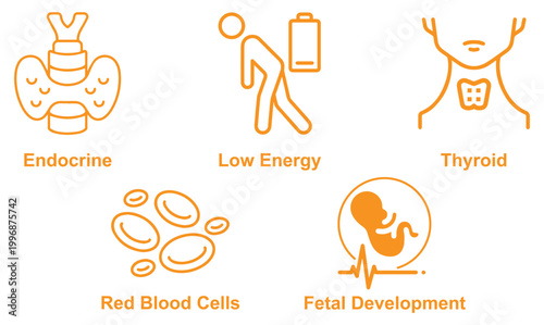 Obraz na płótnie Modern healthcare icon set representing endocrine system, fetal development, red