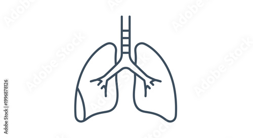 Human lungs anatomy line art diagram with trachea and bronchi on an isolated white background.