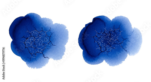 Two abstract blue organic shapes with intricate fractal patterns on a white background, resembling bacterial colonies or neural networks.