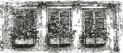 black and white vintage illustration of three closed window shutters with flower boxes and textured wall