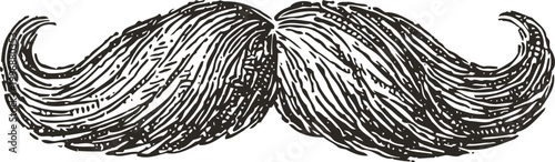 Vintage ornate curled mustache illustration classic facial hair with detailed engraving lines