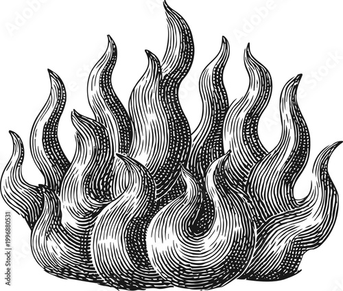 Hand drawn vintage flame illustration with detailed line art and dynamic fire shapes