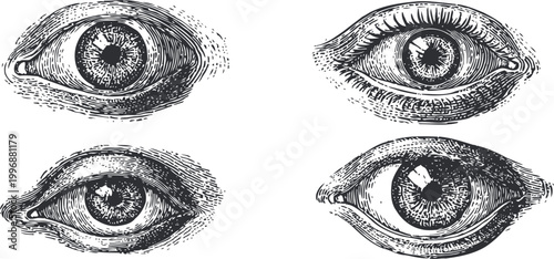 vintage hand drawn human eyes set detailed anatomy illustrations of eyes in various styles and angles