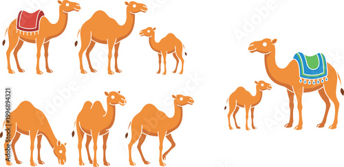 Camel Group Illustration Featuring Adults and Calves with Saddles, Grazing, and Standing Poses in Cartoon Vector Artwork