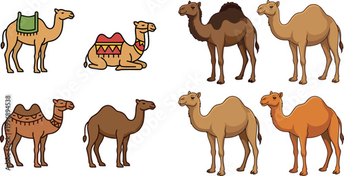Camel Illustration Collection Featuring Standing and Sitting Camels with Saddles, Blankets, and Harnesses in Cartoon Vector Artwork