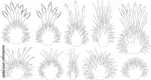 Minimalist pampas grass line art collection, 10 botanical vector elements, elegant dried floral reed illustrations for wedding stationery and home decor
