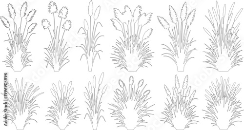 Minimalist pampas grass line art vector set, botanical dried floral sketches, 12 elegant bohemian plant illustrations for wedding stationery