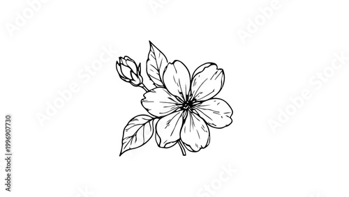 Cherry blossom Flower outline vector illustration Hand-drawn botanical line art LOGO IN BLACK AND WHITE, Bouquet of flowers with petals, buds and leaves, black and white sketch. vector illustration