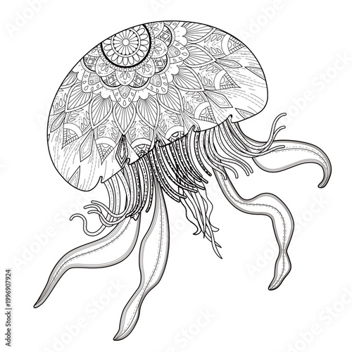 Exquisite jellyfish