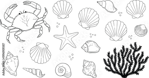 Set of marine life elements featuring a crab, starfish, various sea shells, and coral.