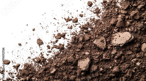 Close-up shot revealing textured, earthy soil with scattered small rocks, black void