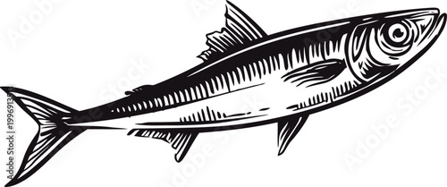 Detailed black and white illustration of a single fish with visible scales and fins