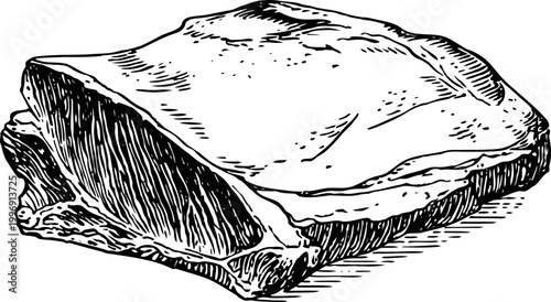 Piece of raw meat with visible texture and fat layer, detailed black and white line art illustration