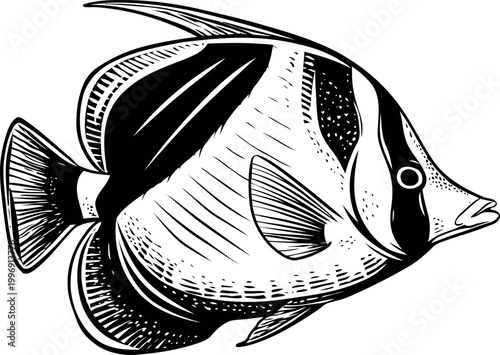 Tropical butterflyfish illustration in black and white detailed line art
