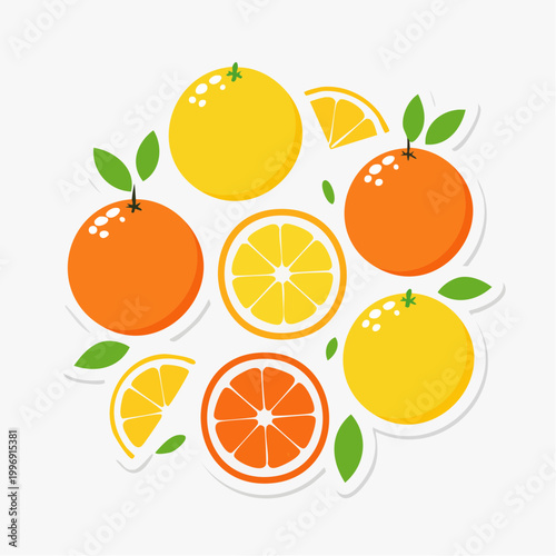 Citrus Fruits Arrangement