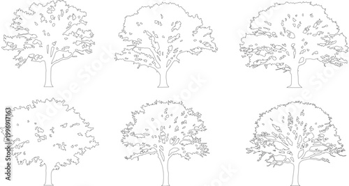 Minimalist tree line art collection, set of 6 deciduous tree vector outlines, architectural landscape plant symbols for site plans and diagrams