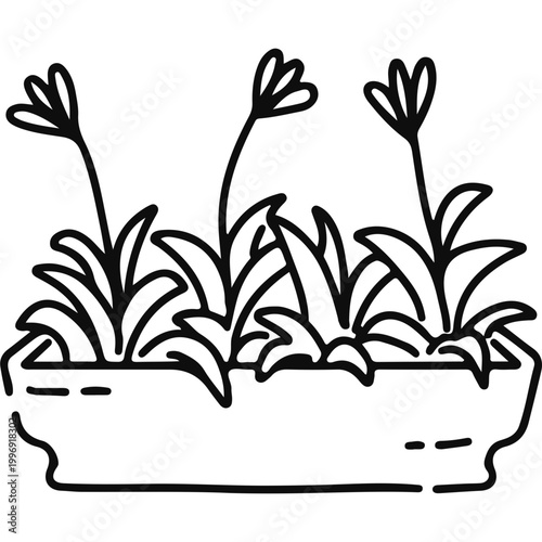 Minimalist potted flowers line art