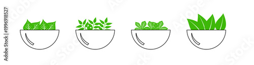 Banner Salad bowl with various lettuce leaves vector graphic design