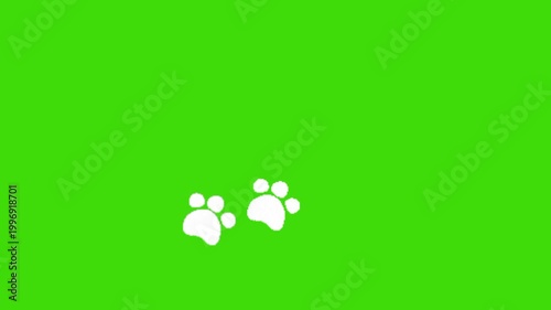 Paw footprint on green background