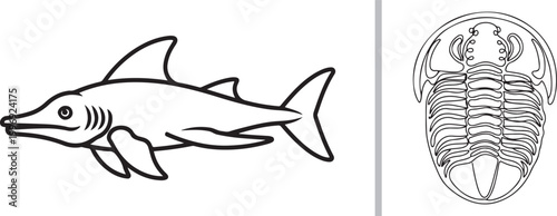 Vector line art of a prehistoric shark and trilobite fossil isolated on white background